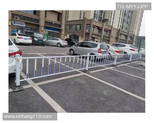 交通护栏的作用与发展趋势分析及其在城市道路安全中的重要性