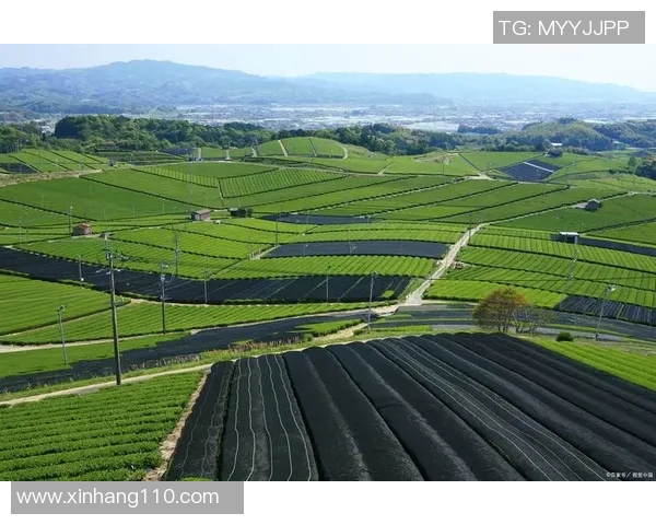 以果园为核心,打造生态农业示范区,促进绿色可持续发展与乡村振兴 以果园为核心,打造生态农业示范区,促进绿色可持续发展与乡村振兴