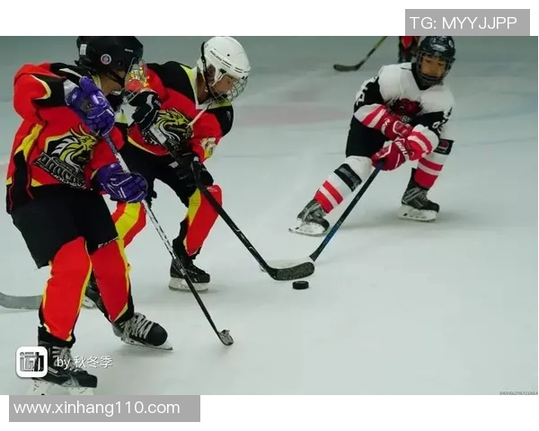 北京羽毛球队实力分析与发展潜力探讨