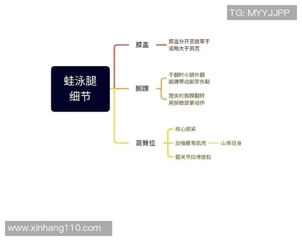 蛙泳基本动作解析与技巧提升：从划水到呼吸的全方位指导