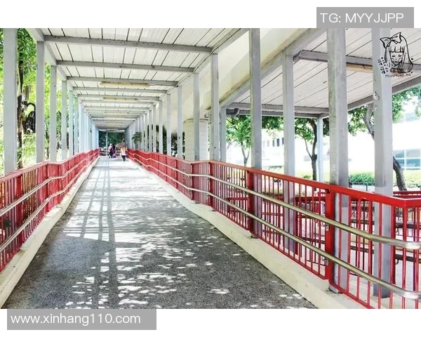 青衣运动场：创新与活力并存的体育空间，焕发城市运动新风尚